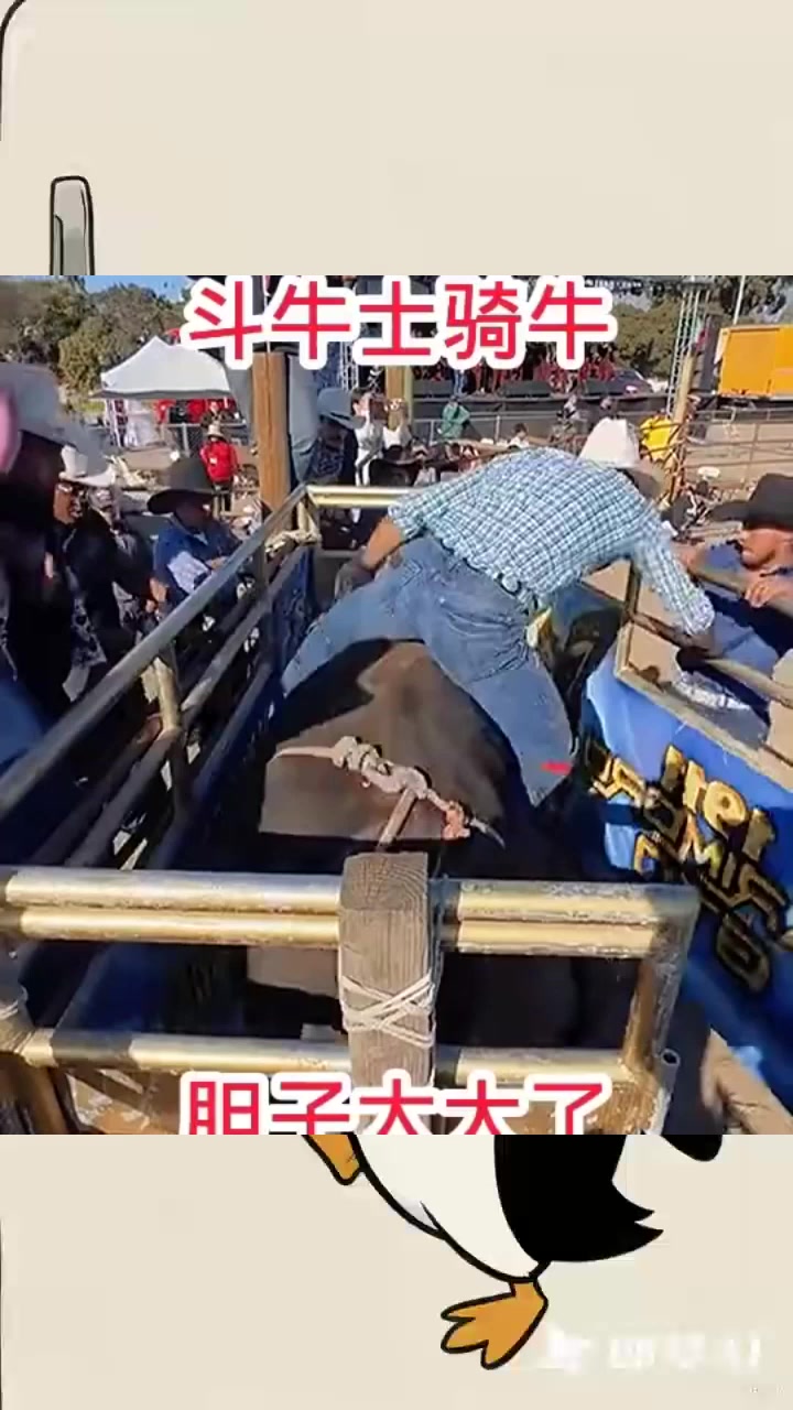 斗牛士骑牛,胆子太大了!