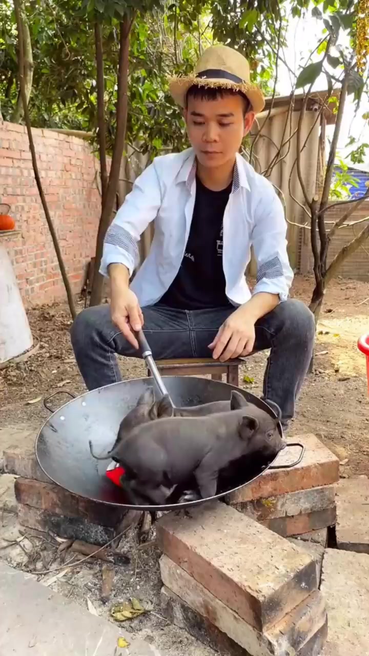 简简单单吃个大波龙龙虾