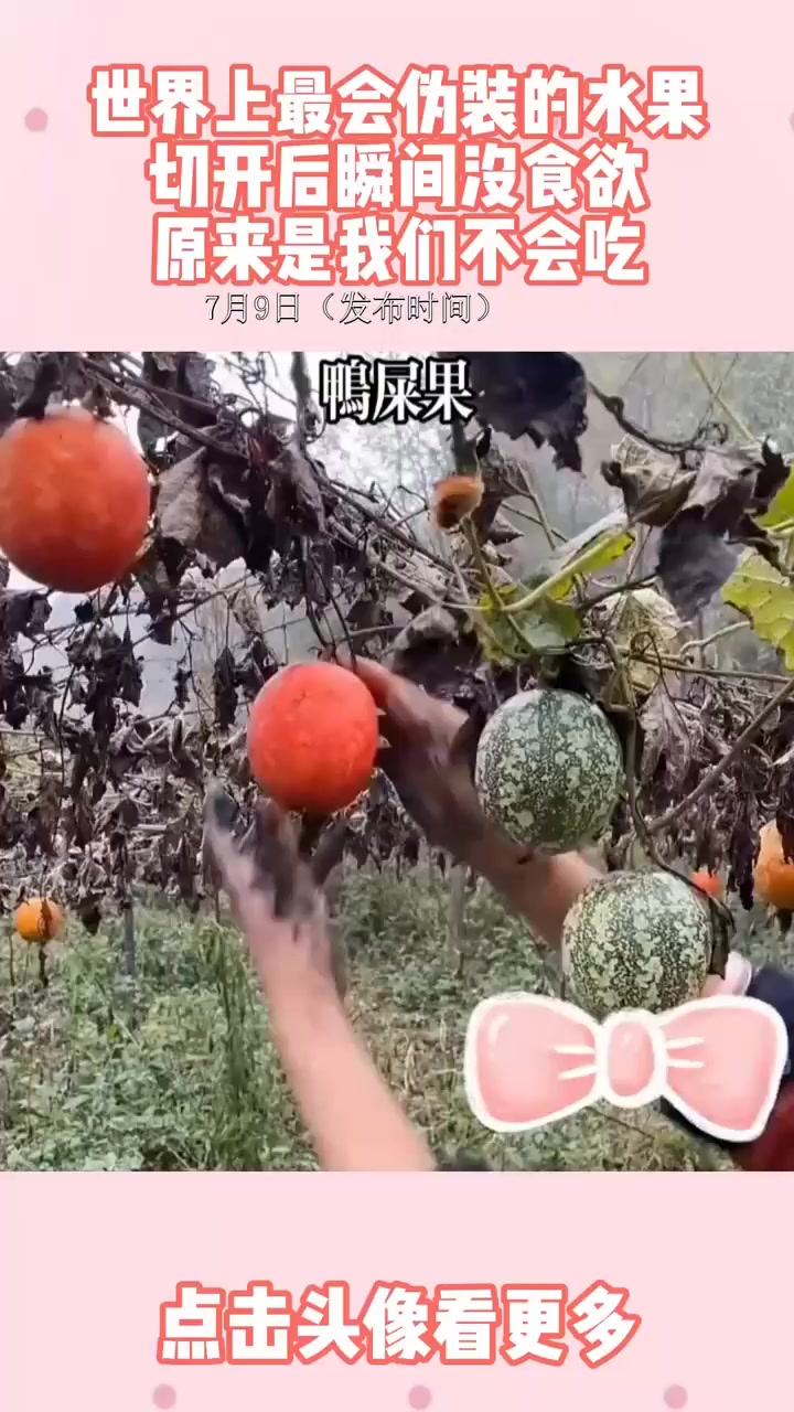 世界上最会伪装的水果,切开后竟让人失去食欲,原因在于我们的方