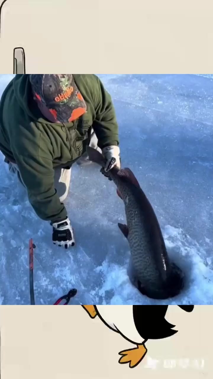 放生大鲶鱼,真是个善良的人