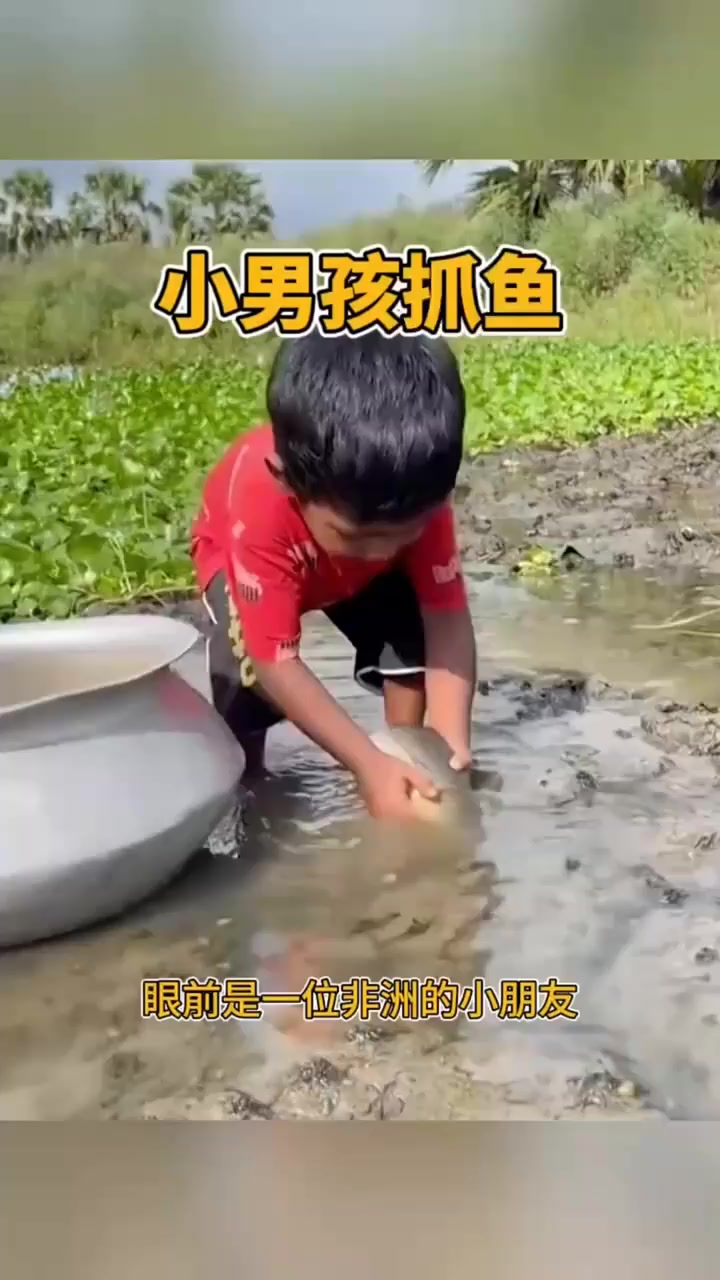看着国外小男孩抓鱼的方式有模有样的