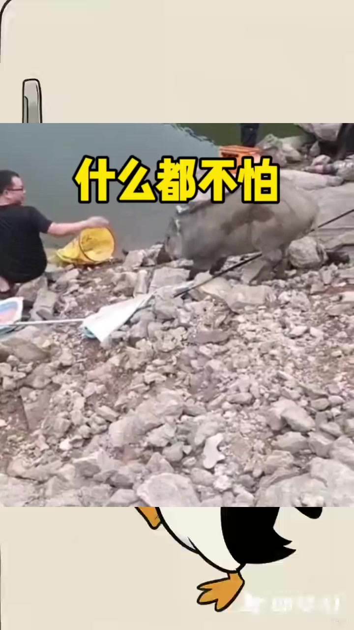 钓鱼佬们都是个人才