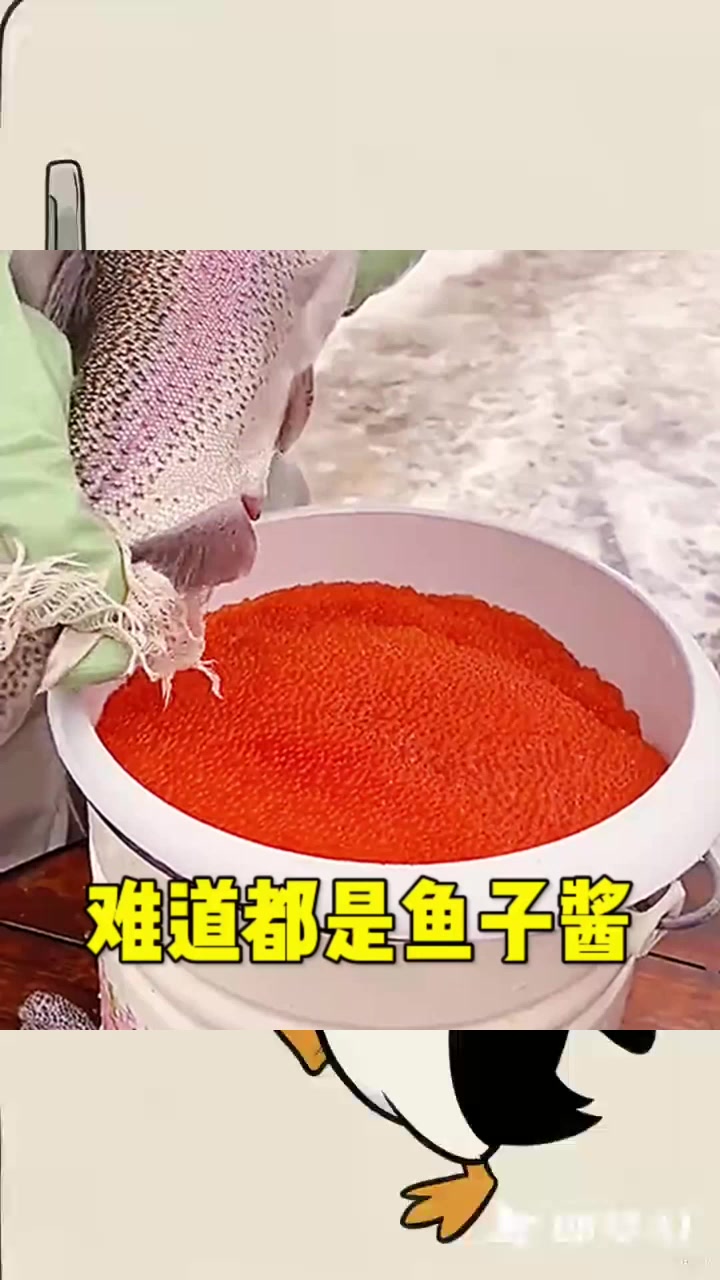 难道这就是鱼子酱吗