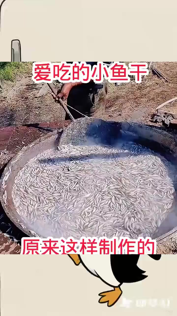 爱吃的小鱼干,原来这样制作的!