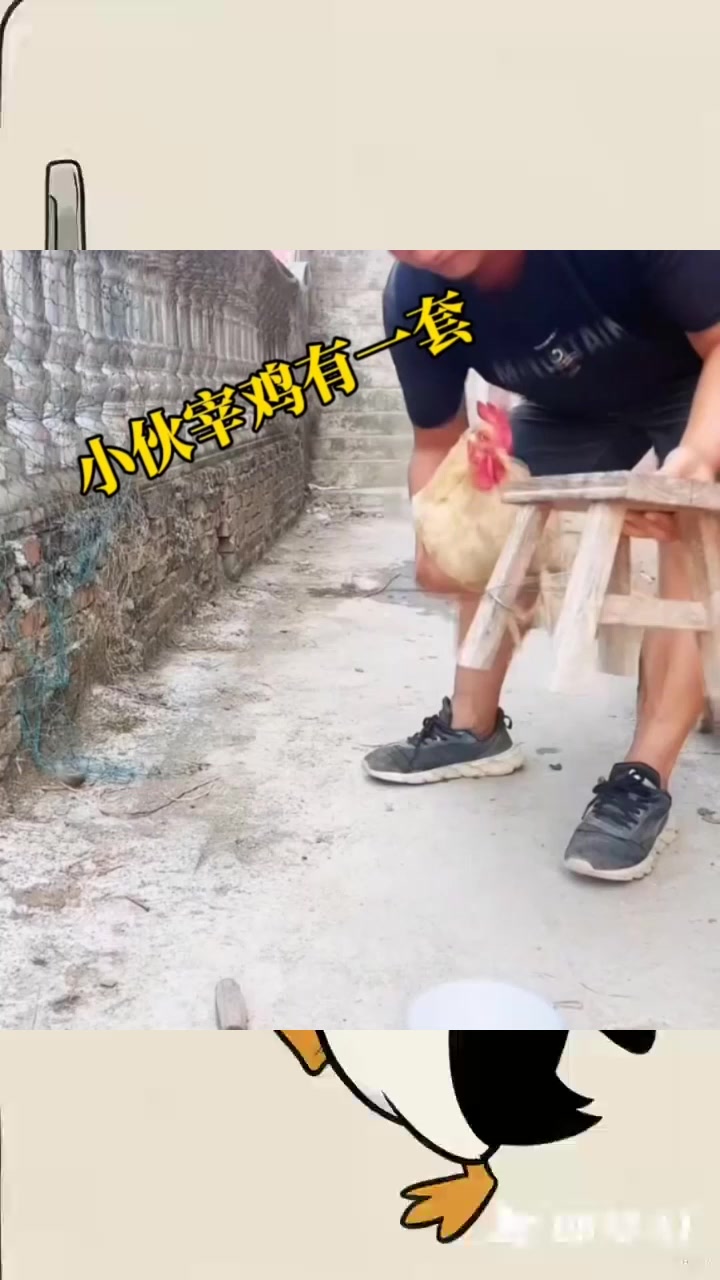 小伙宰鸡还真有一套