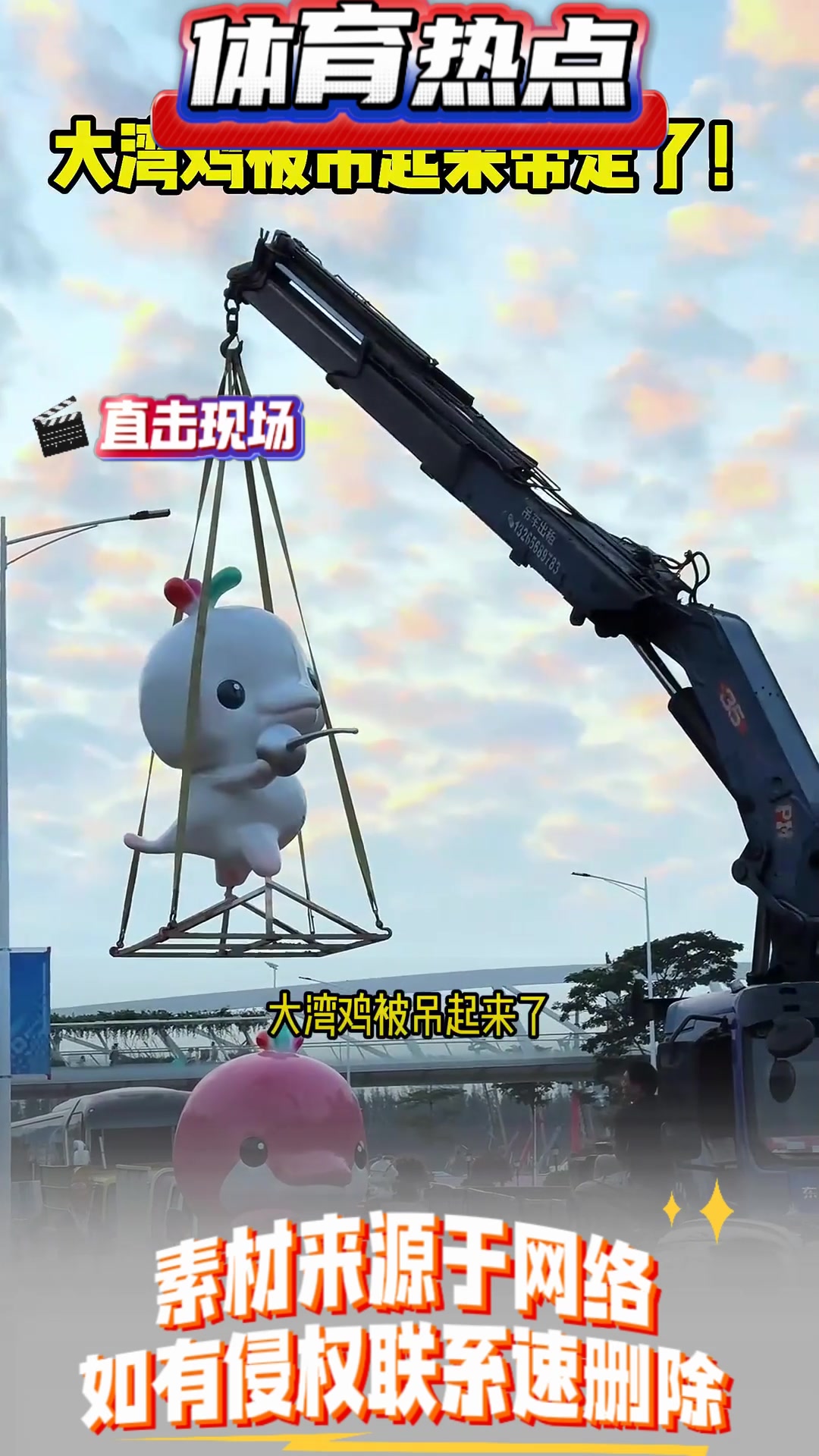 搞笑又可爱!大湾鸡被吊起来带走了!