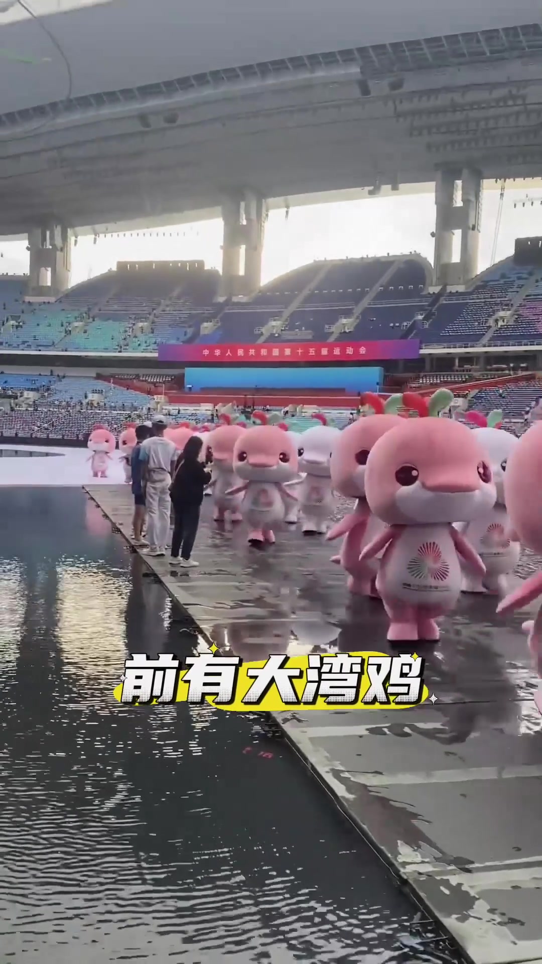 前有大湾鸡，后有莞烧鹅，这是在办美食汇吧，赵睿都忍不住摸鹅仔