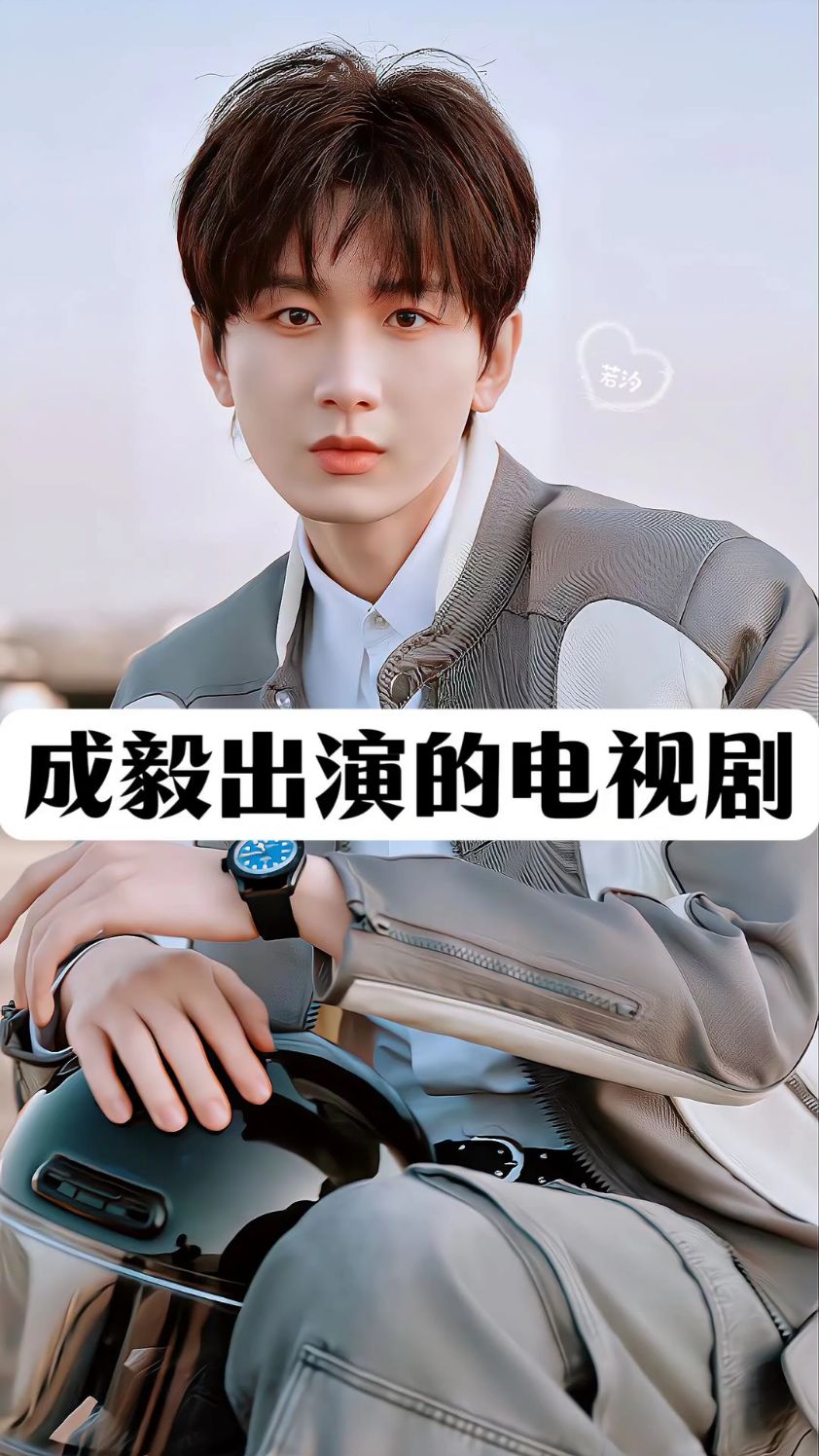 成毅出演的电视剧