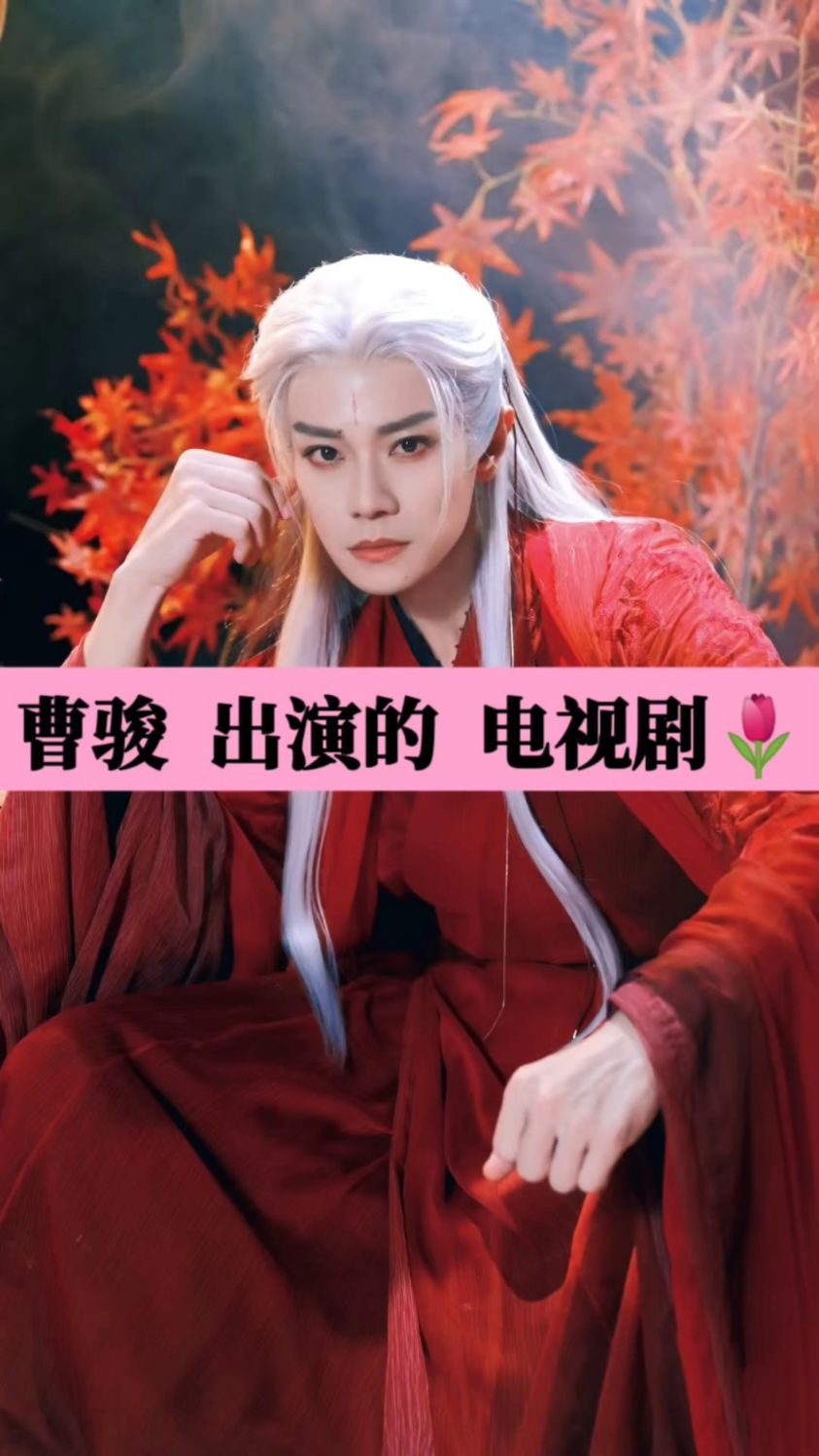 曹骏出演的电视剧