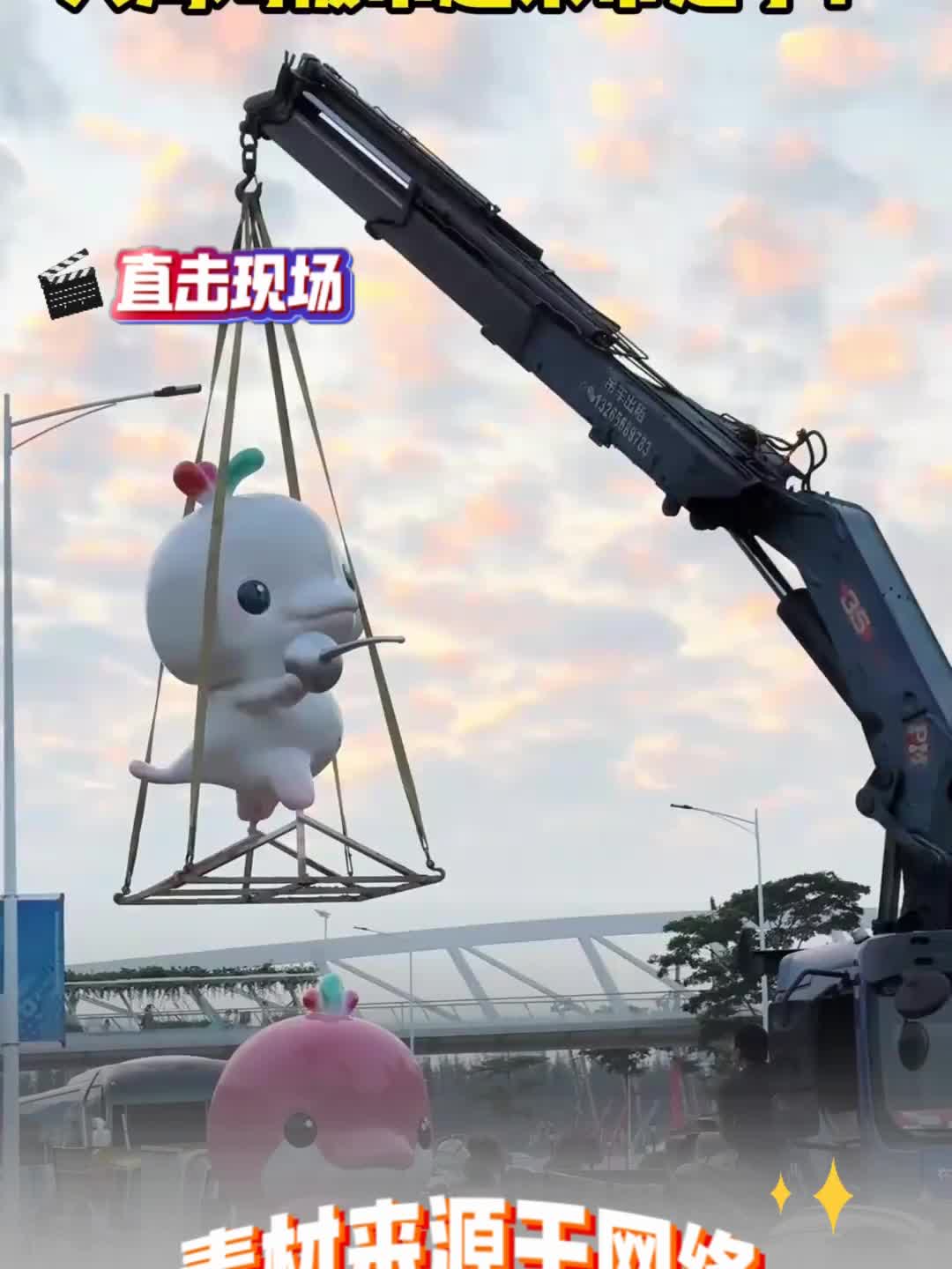 搞笑又可爱!大湾鸡被吊起来带走了!