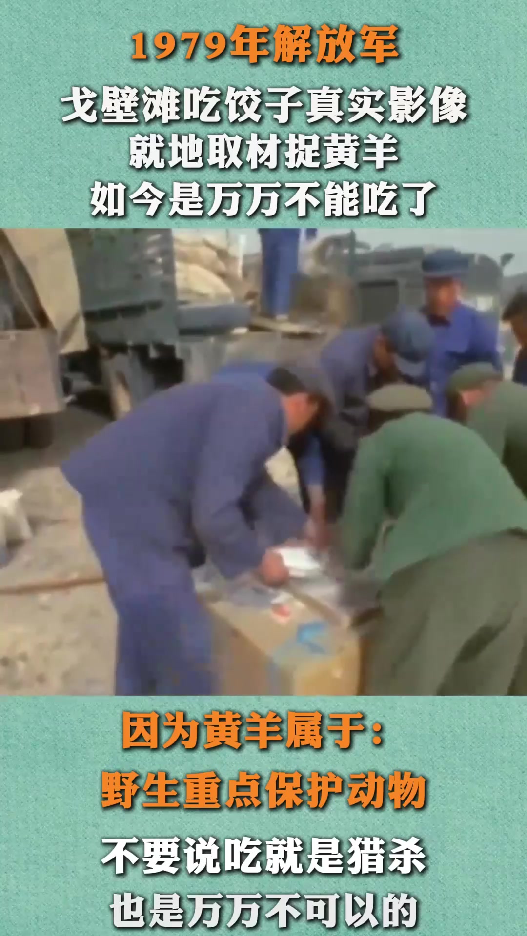 79年解放军吃饺子真实影像,捕捉黄羊当肉馅,如今是万万不能吃了
