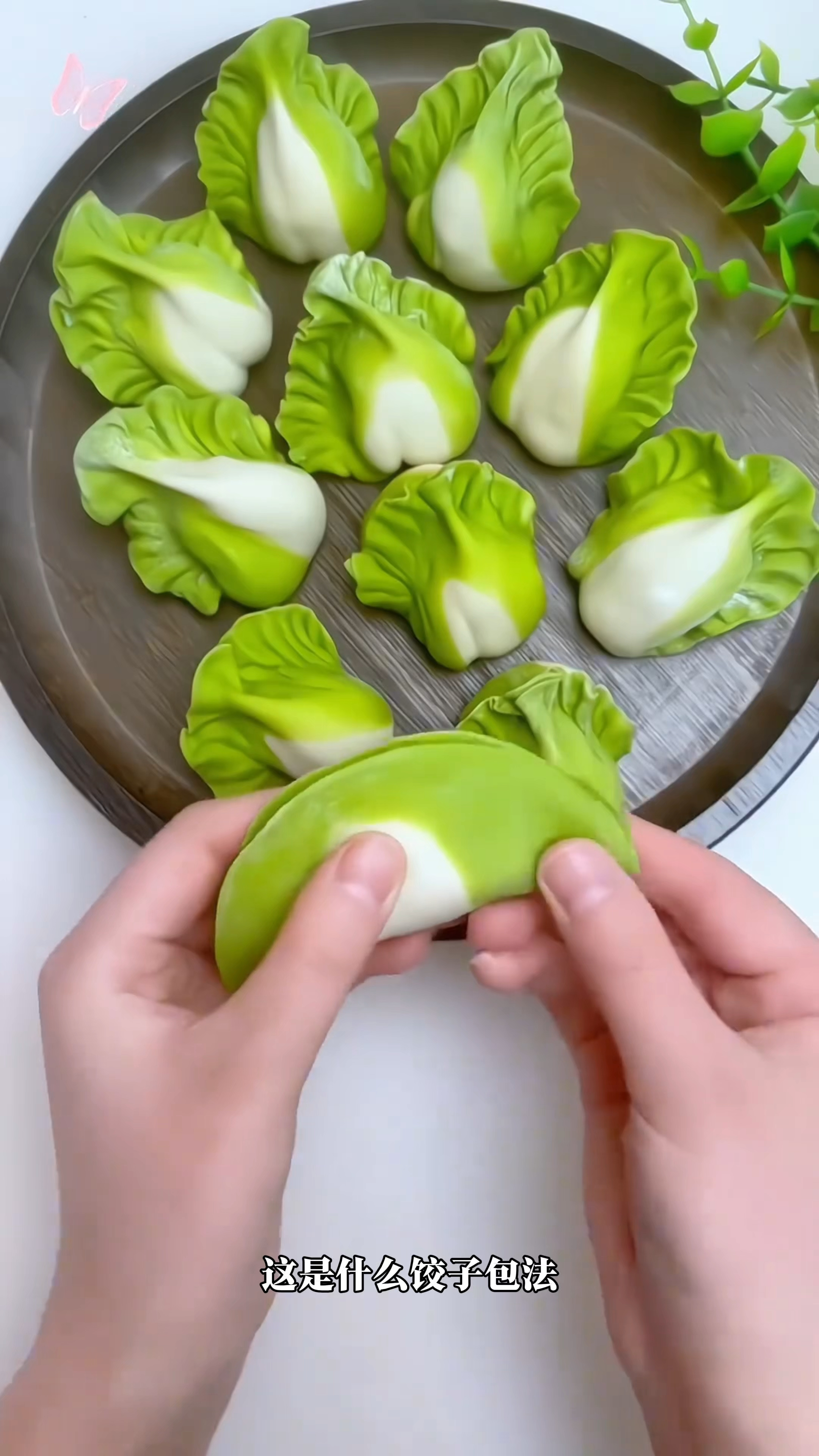 分享11种饺子包法,赶紧学起来叭#冬至吃饺子 #冬至 #饺子