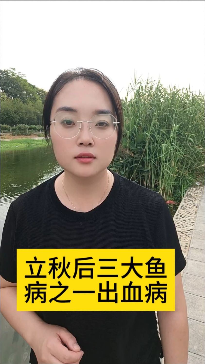 立秋后三大鱼病之一出血病#水产养殖#鱼虾蟹#四大家鱼养殖#花白鲢