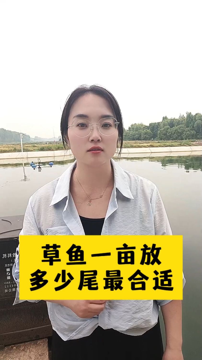 草鱼一亩放多少尾最合适#水产养殖#鱼虾蟹养#四大家鱼养殖#花白鲢