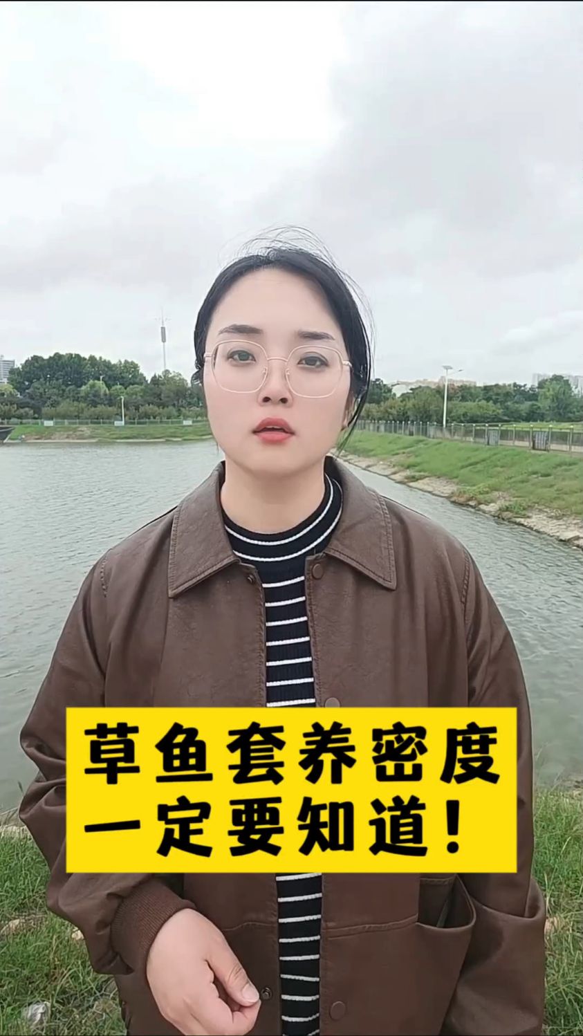 草鱼套养密度一定要知道#水产养殖#鱼虾蟹养#四大家鱼养殖#花白鲢