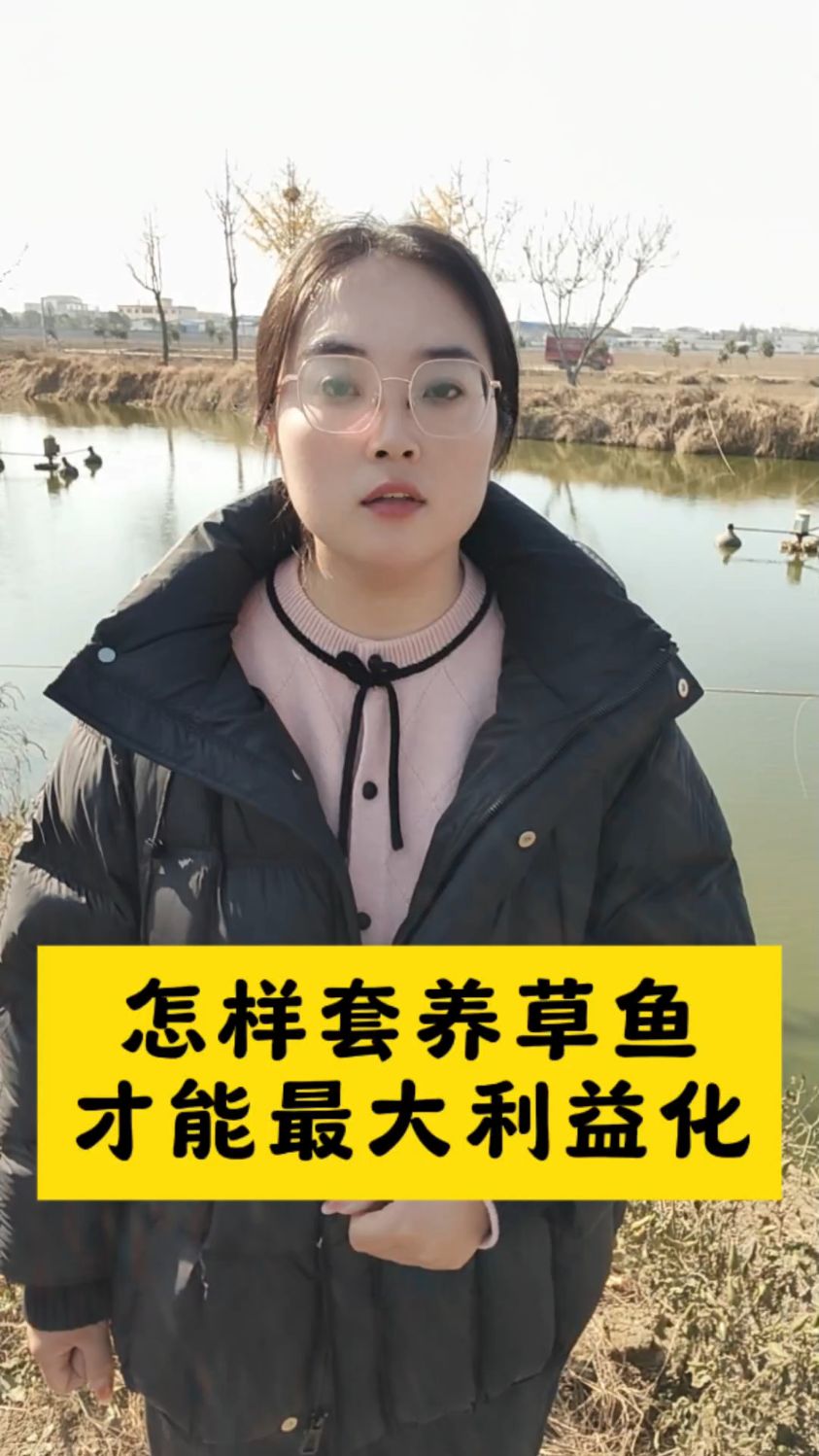 您真的会套养草鱼吗#水产养殖#鱼虾蟹养殖#四大家鱼#花白鲢养殖