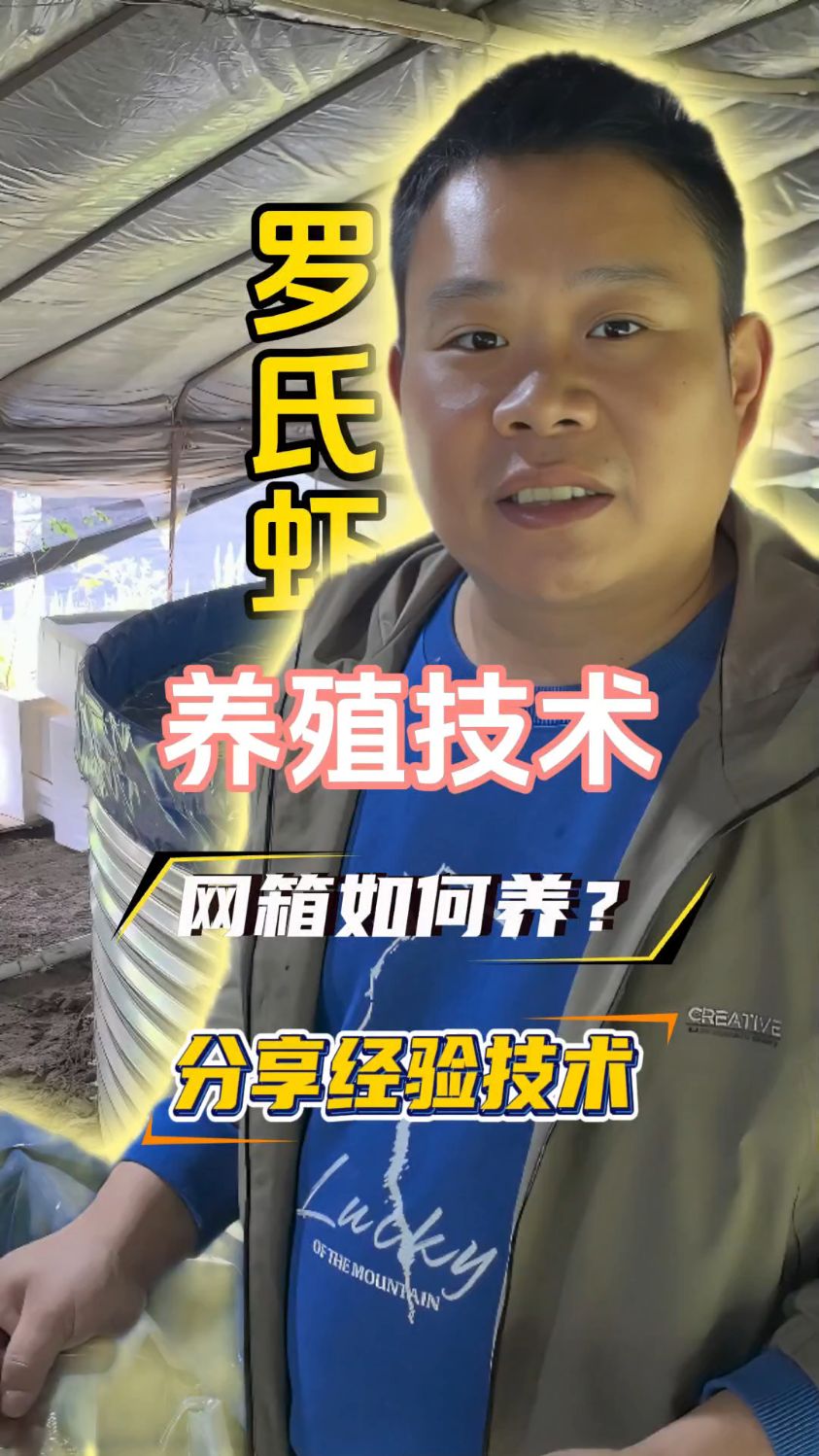 室内高密度养殖罗氏虾方法