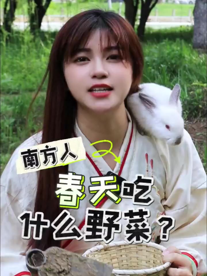 今天带你们看看,南方人的春天都吃什么野菜?!