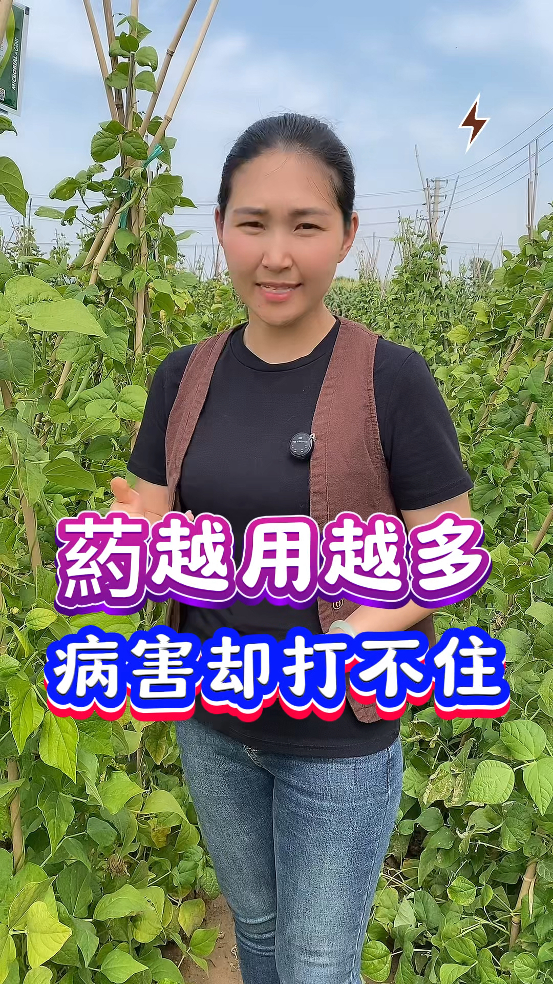 蔬菜种植病害小知识