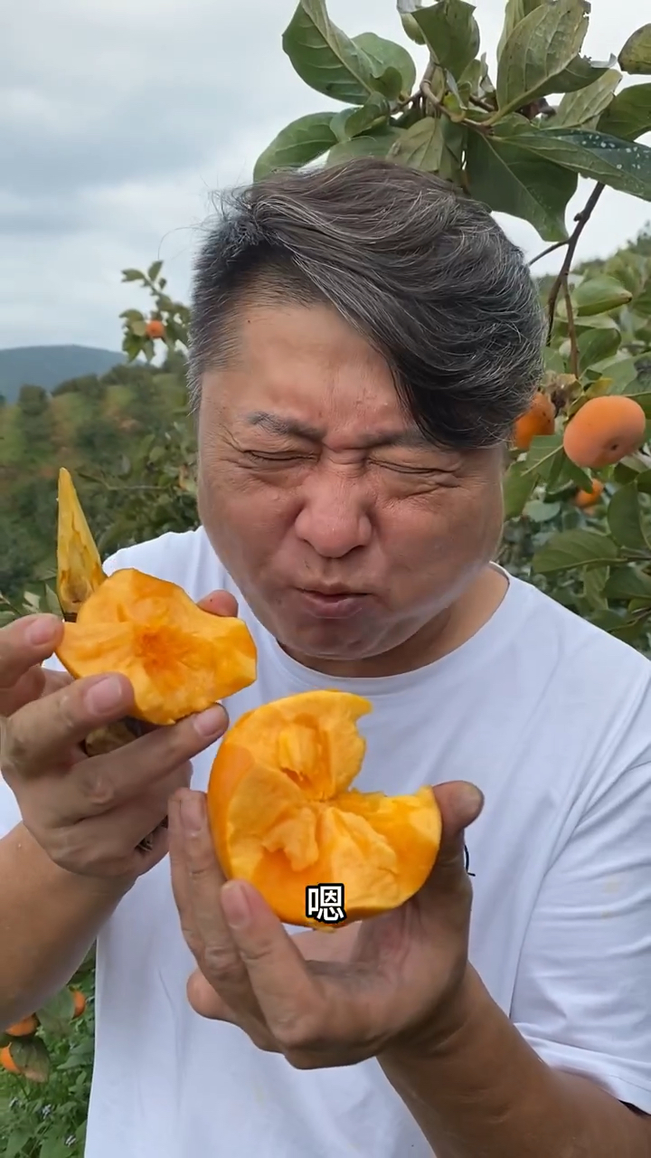 阳丰巧克力脆甜柿子