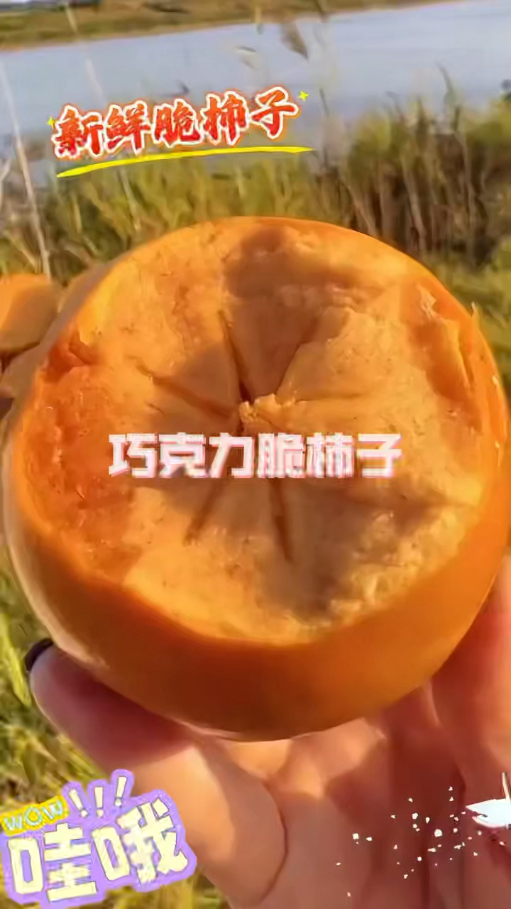 巧克力脆柿子 脆甜好吃