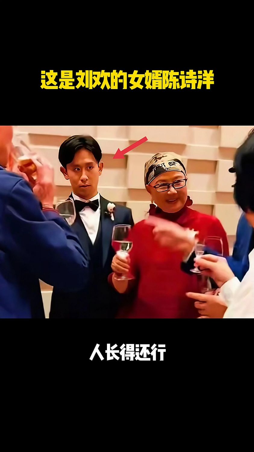这是刘欢的女婿陈诗洋