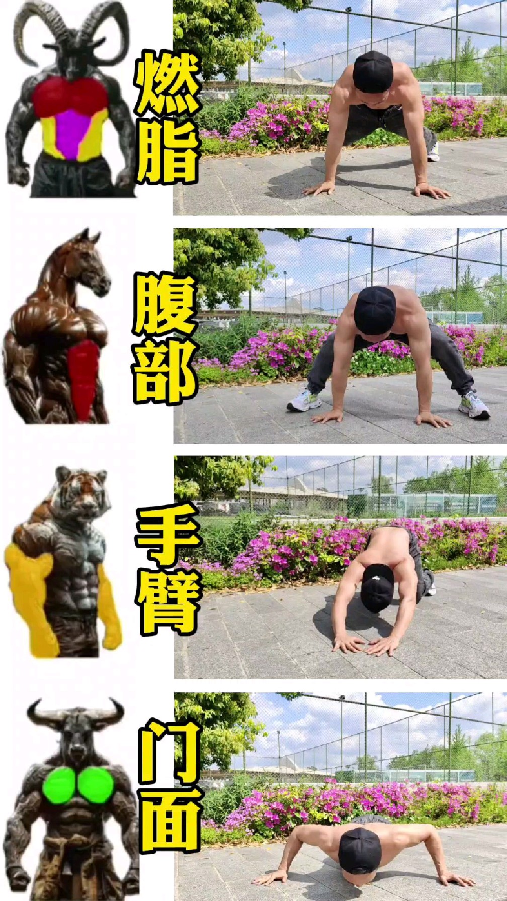 4个动作练腹肌 练胸肌 练肌肉