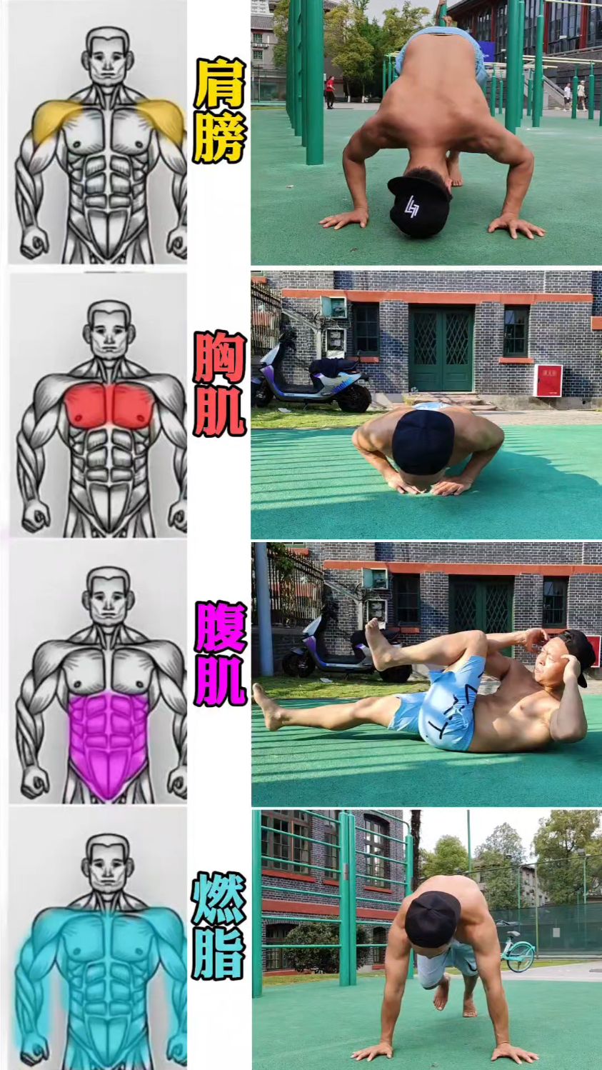 4个动作 打造上半身肌肉