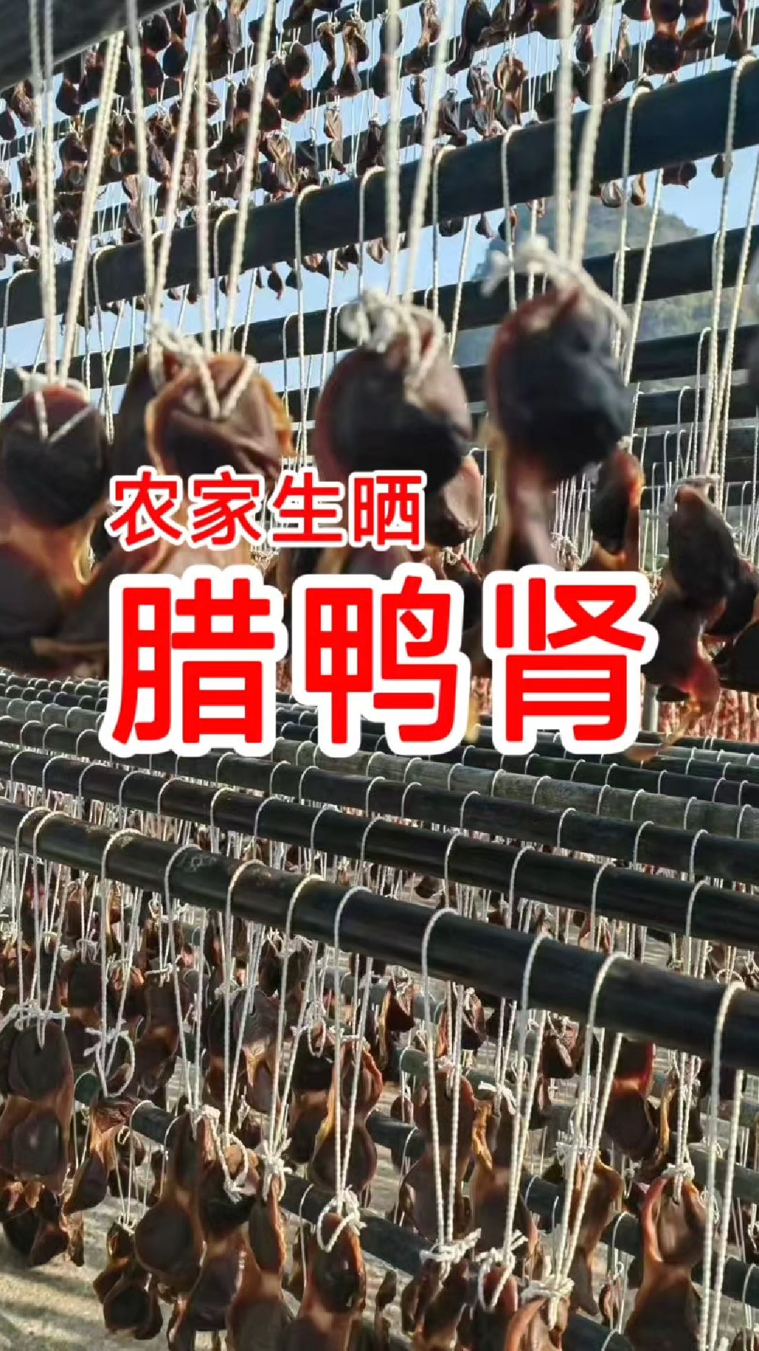 熙欢农家土特产煲粥靓腊鸭肾0120 熬粥很香营养价值丰富