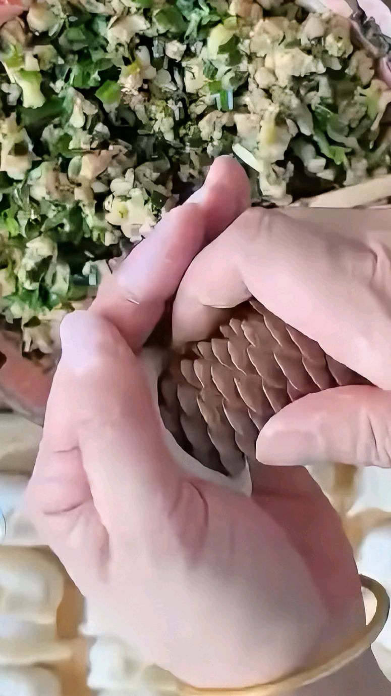 这些包饺子方法，你会几种？#科普 #涨知识#饺子#在家做美食