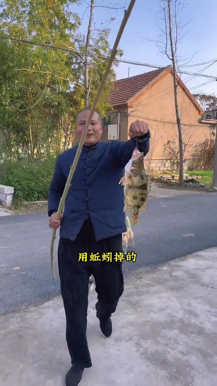 钓了条季花鱼,也叫桂鱼,你们那叫什么?做个软烧桂鱼!