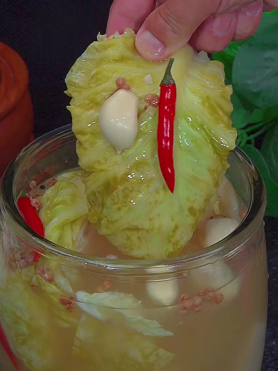 用包菜做泡菜简单方便,清脆爽口！