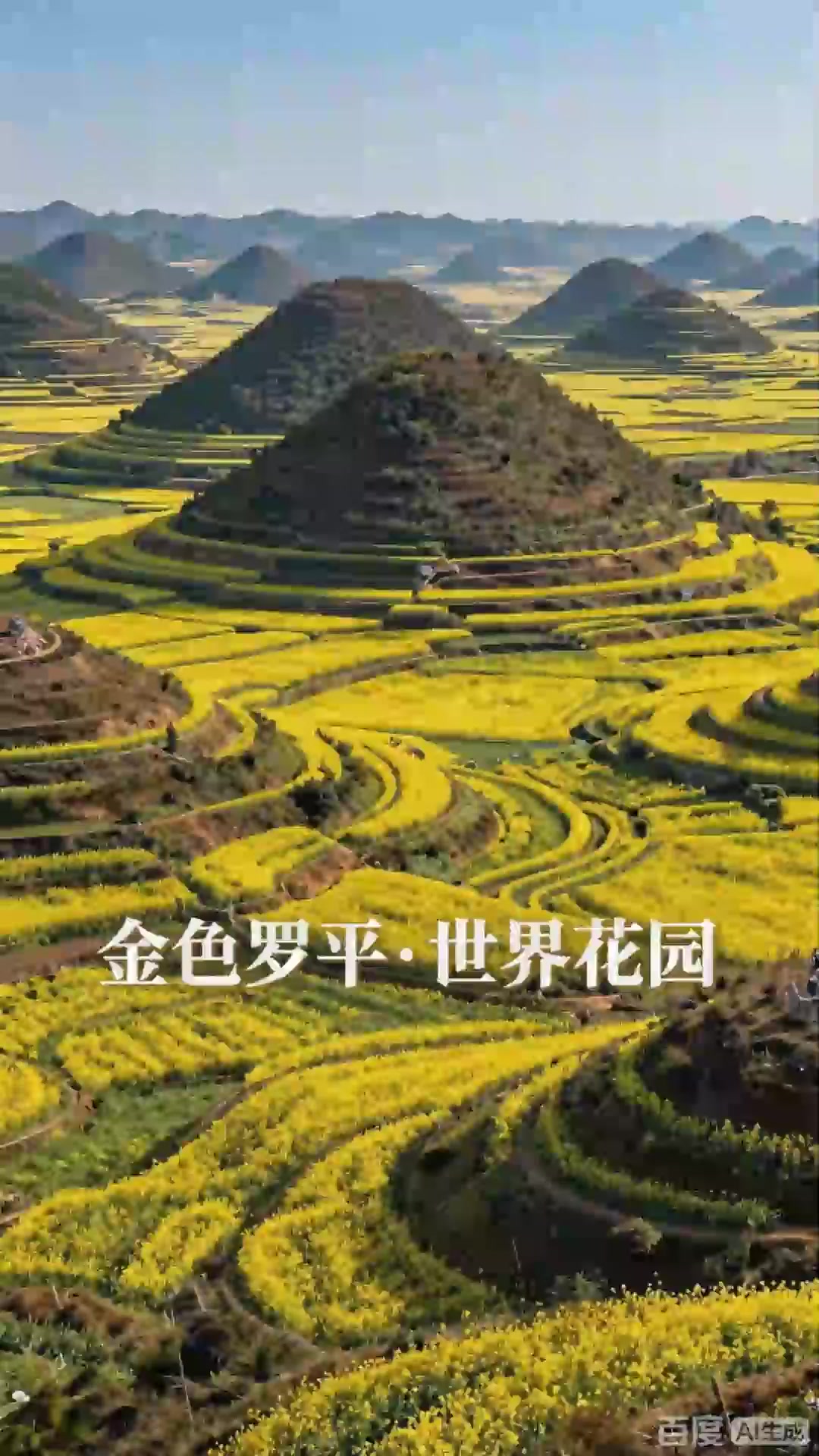 旅游：罗平油菜花海金色海洋，螺丝田里峰丛秀，世界最大自然花园