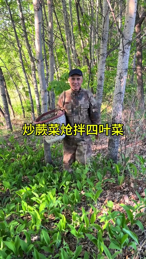 山野菜的季节
