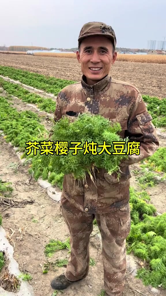 芥菜樱子炖豆腐