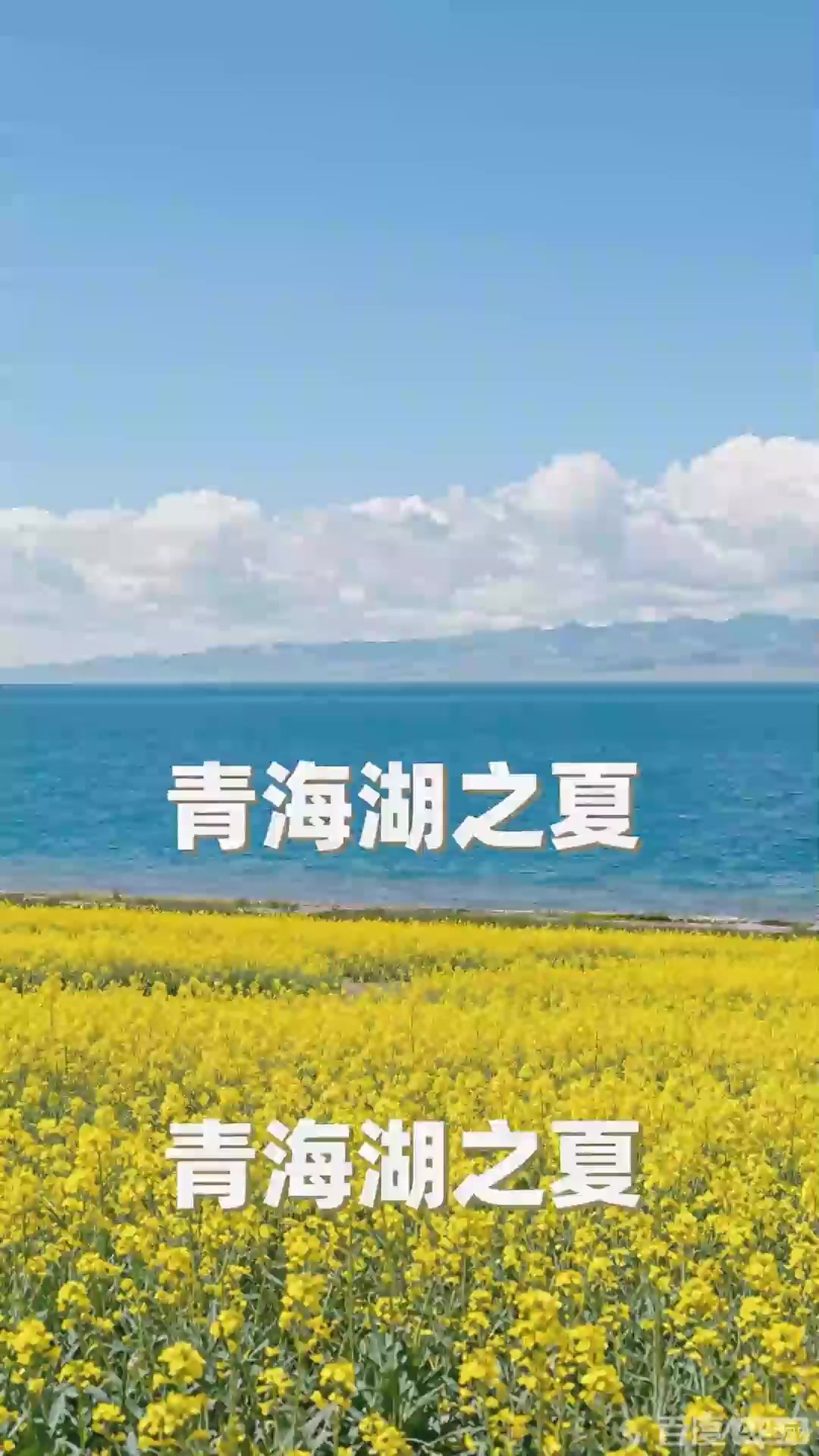 旅游：青海青海湖碧波荡漾连天际，七月油菜花金黄，高原蓝宝石放