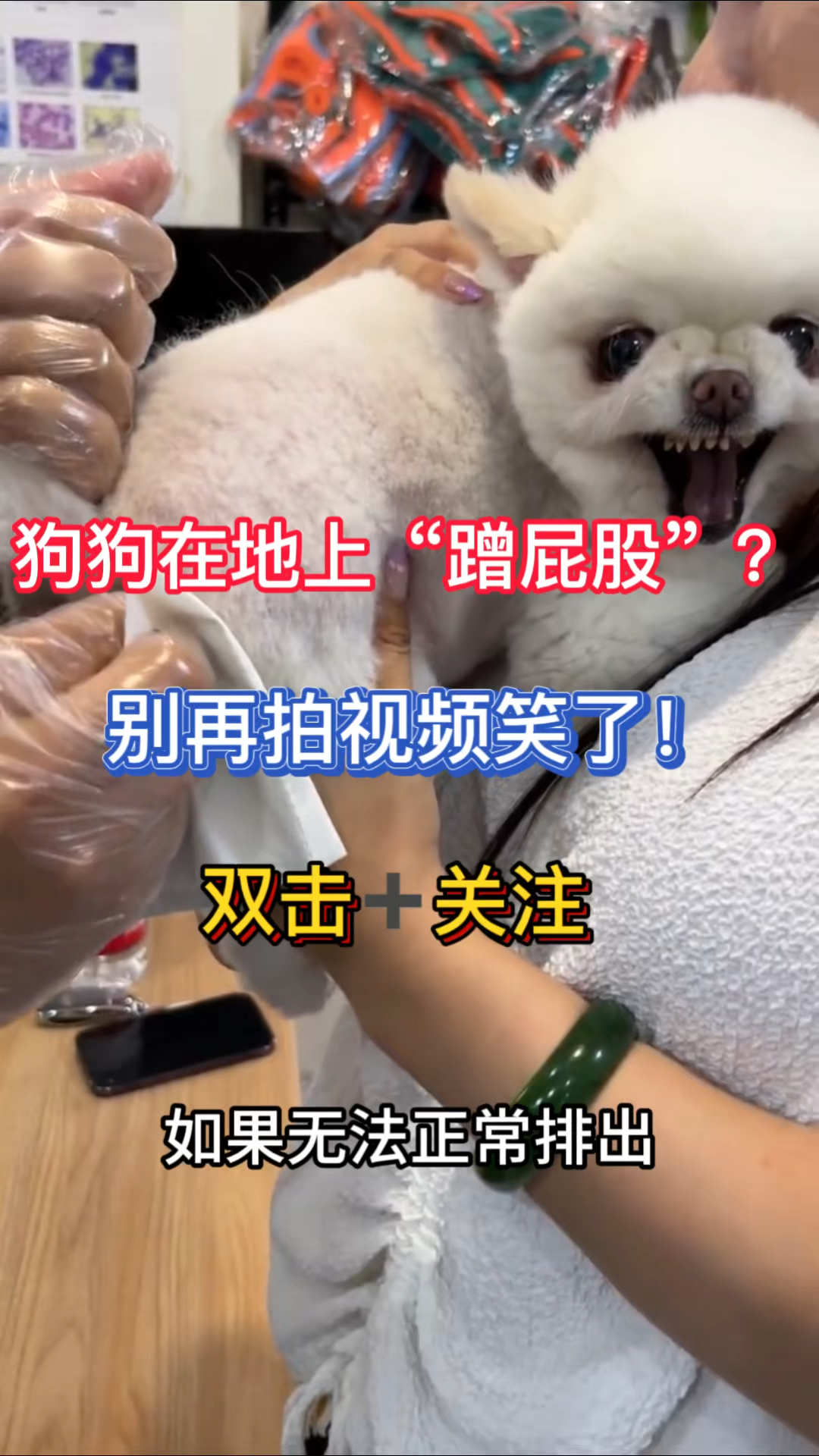 狗狗在地上“蹭屁股”?别拍视频笑了!这是它的危险警报!