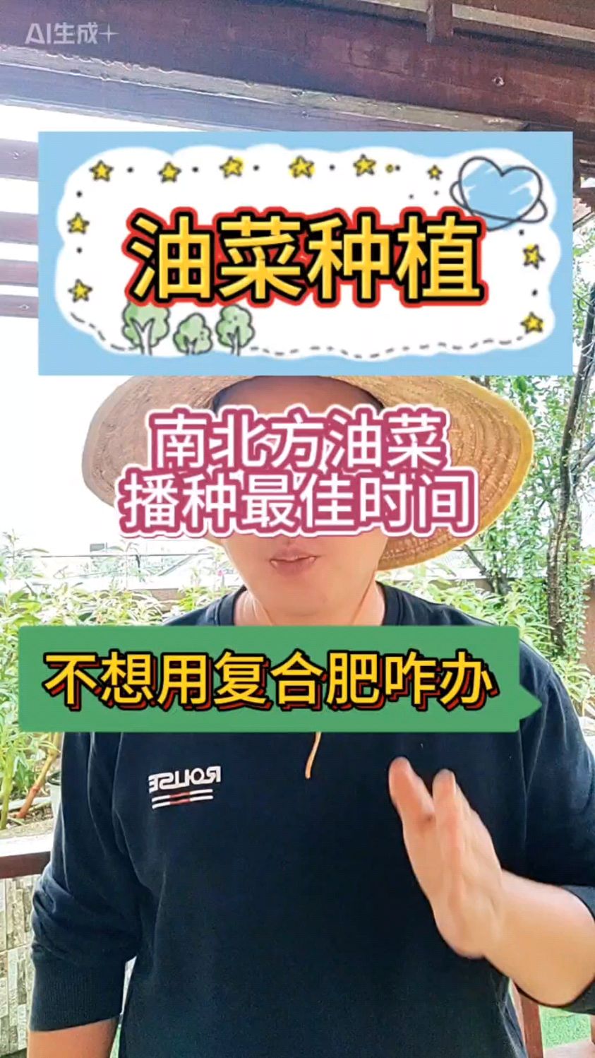 南北方油菜最佳种植时间