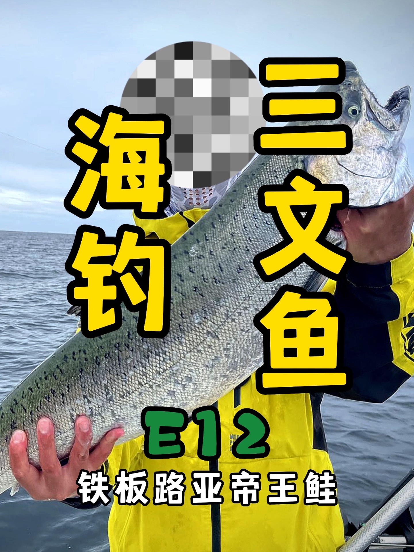 海上路亚帝王鲑,体型最大的三文鱼