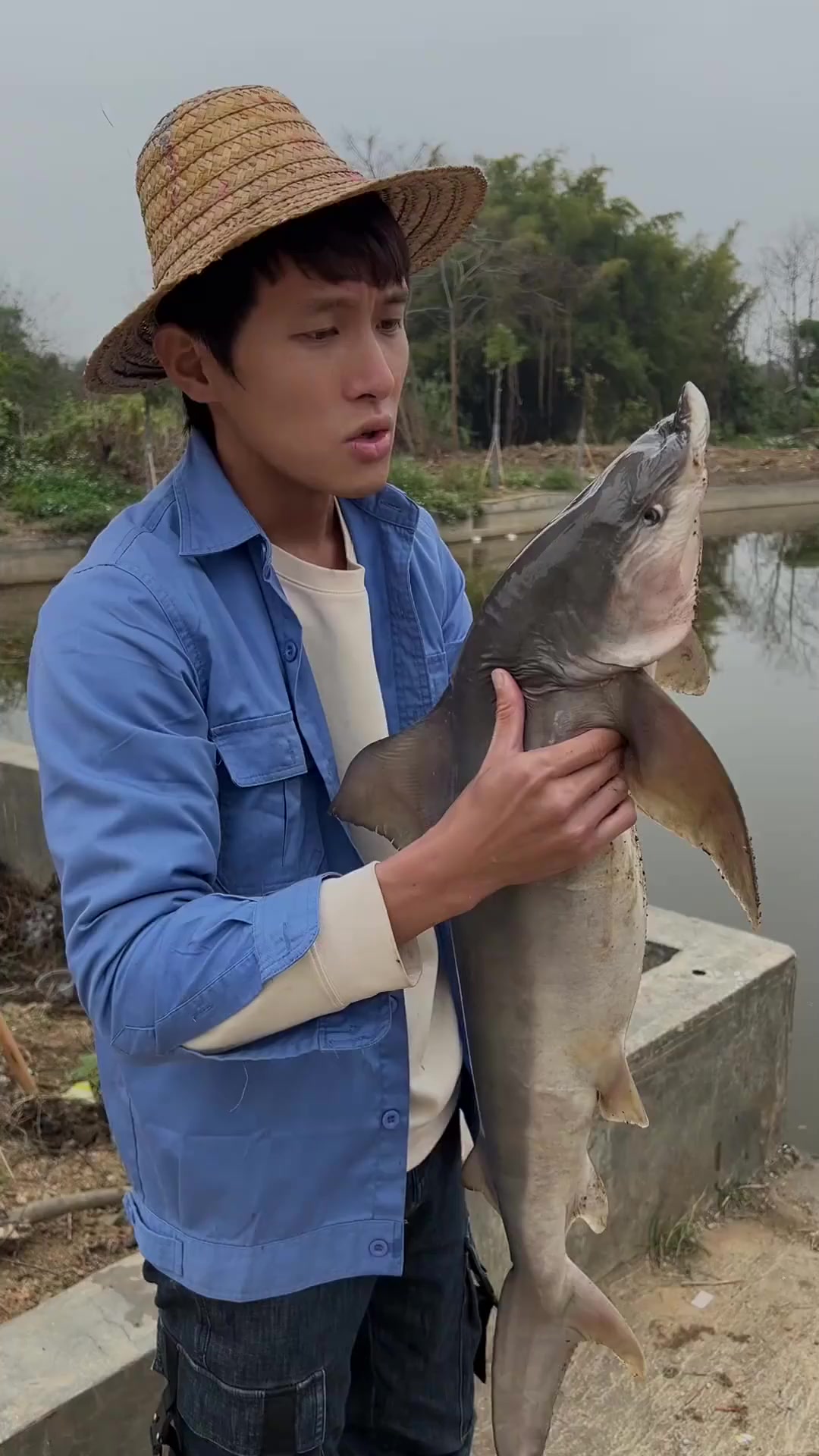 吃鲨鱼有什么需要注意的吗?