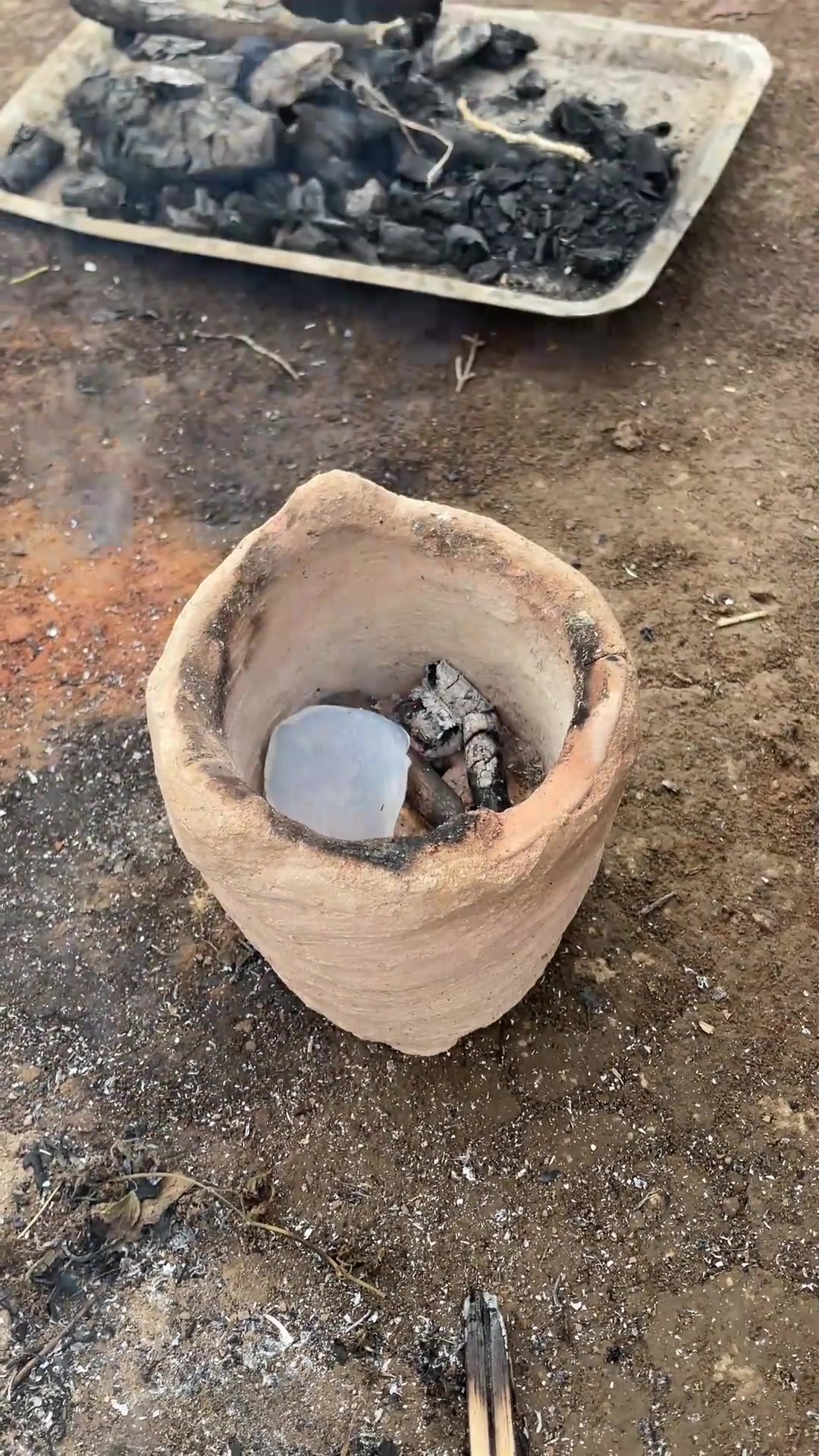 可乐鸡翅煲