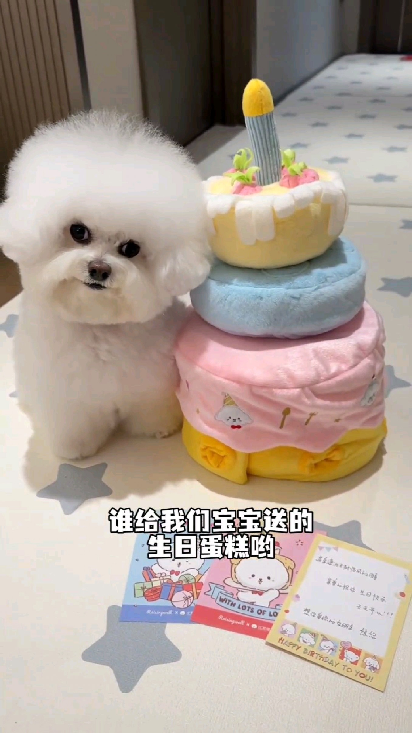 这只小狗收到的生日蛋糕也太可爱啦!