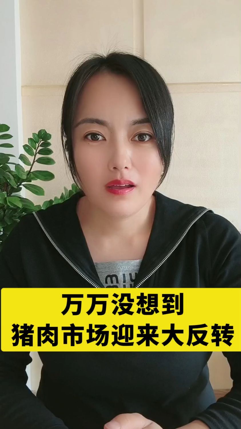万万没想到，猪肉市场迎来大反转