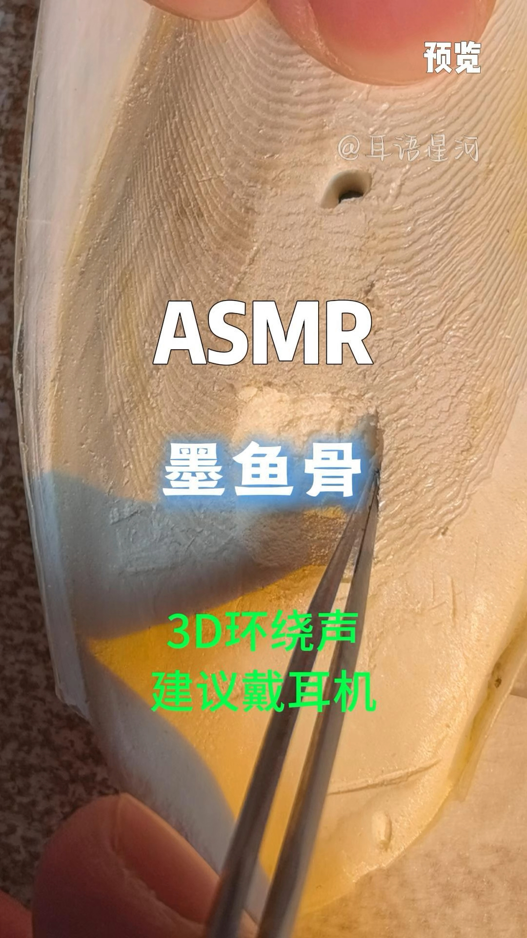 今天是ASMR墨鱼骨