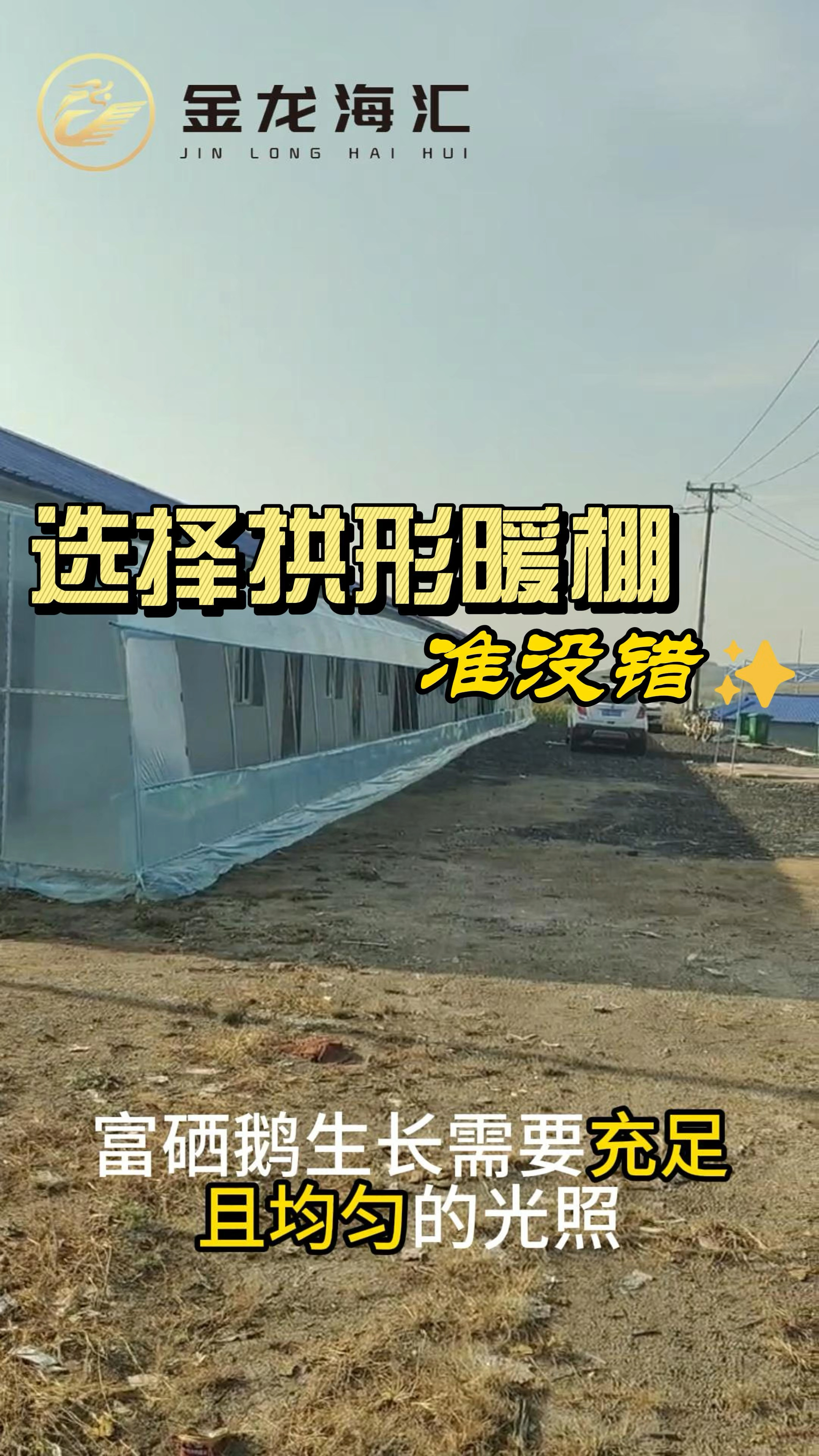 养鹅大棚怎么搭建? #金龙海汇温室大棚厂 #椭圆管大棚