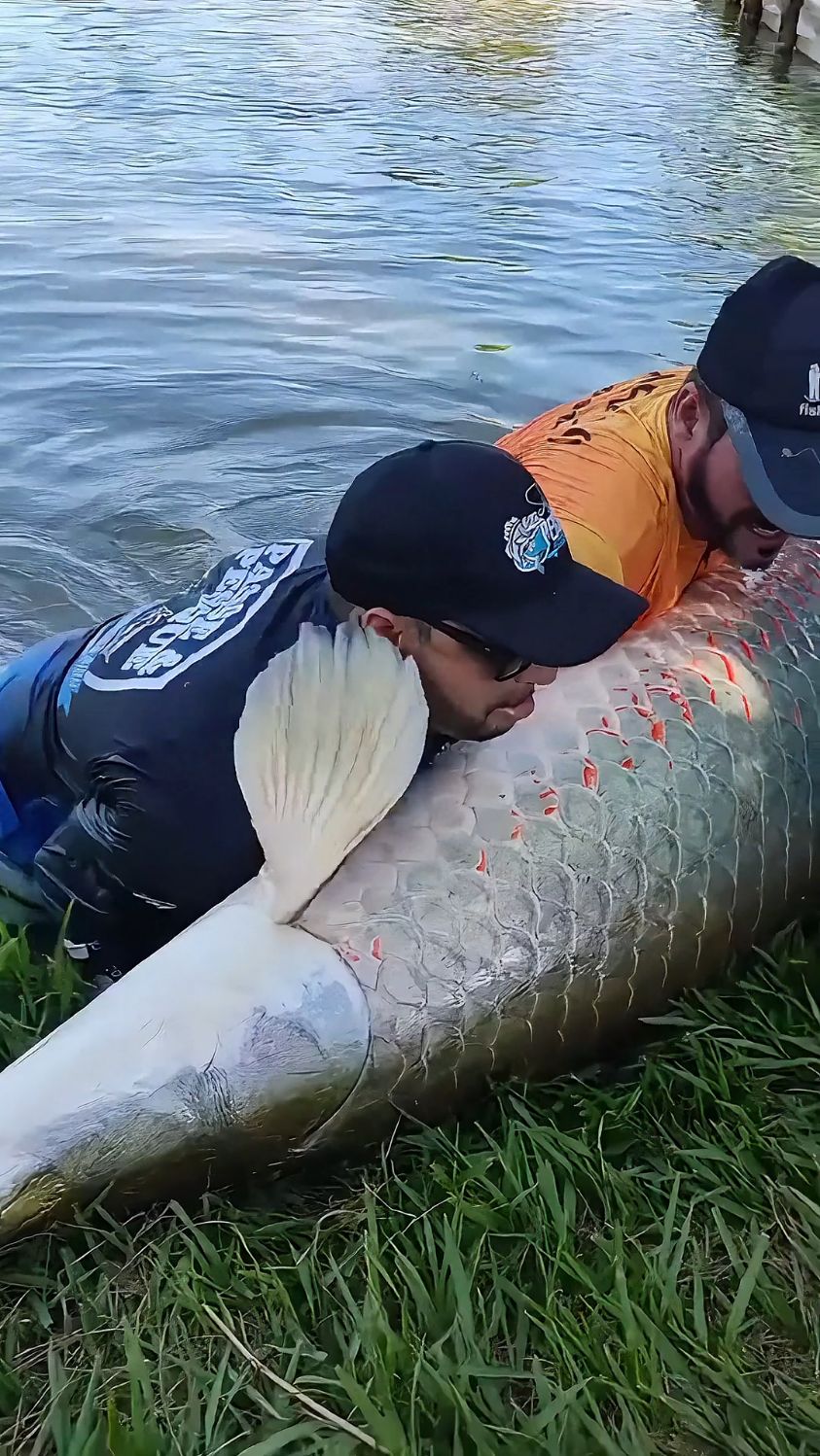 这种鱼能吃吗!很急