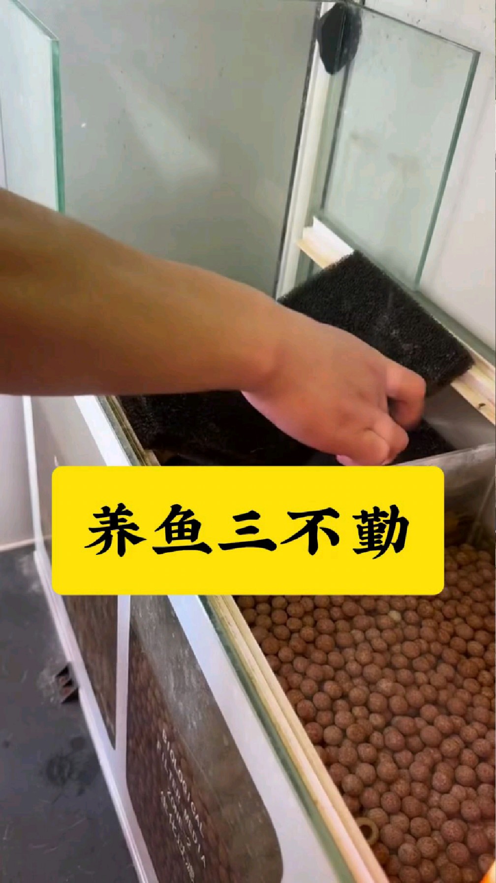 养鱼三不勤,你学会了吗