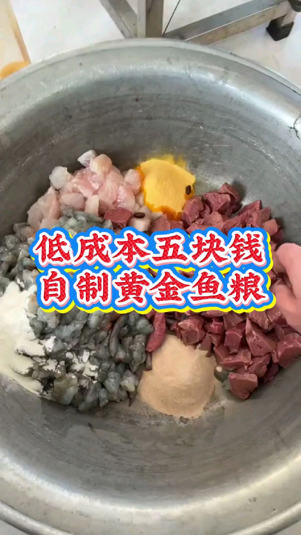 低成本自制黄金鱼粮，只需五块钱