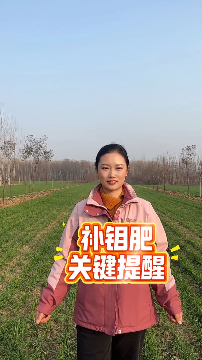 补钼肥的关键提醒