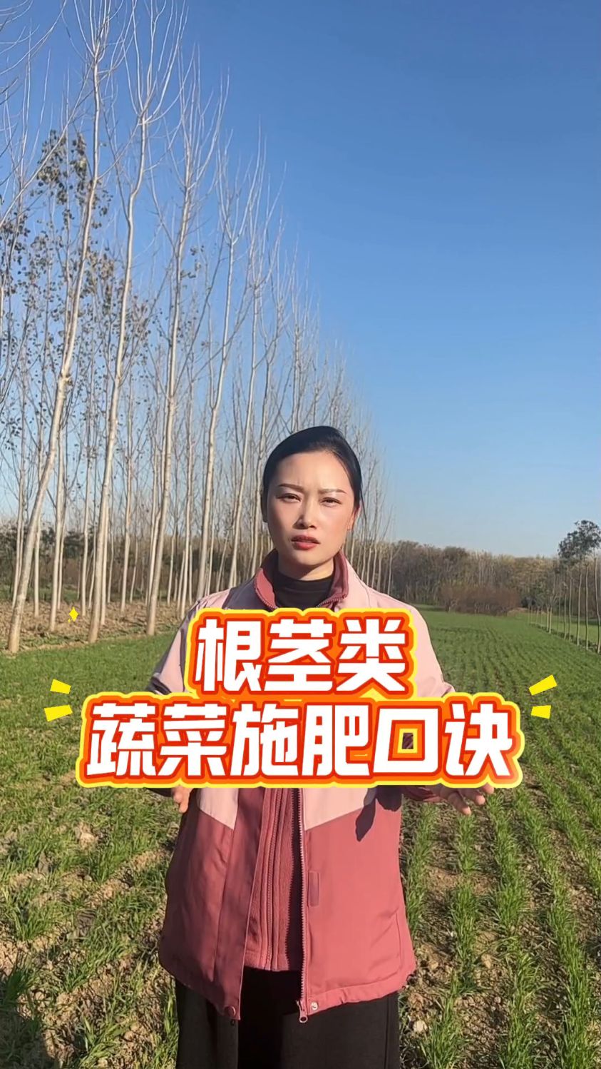 根茎类蔬菜施肥口诀